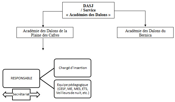 organigramme