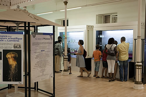 L'exposition dans le bleu de l'océan