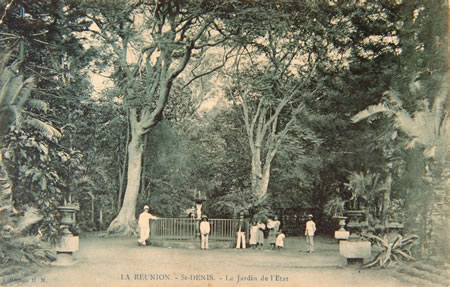 jardin vieille photo