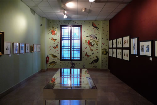 exposition Roussin