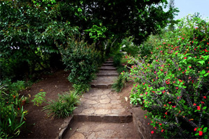 Le jardin du Musée de Villèle