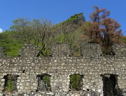 L1010361.jpg