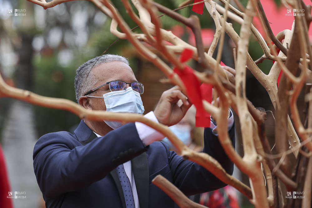 Le Présidente du Conseil Départemental accroche son vœux écrit sur l'arbre à vœux