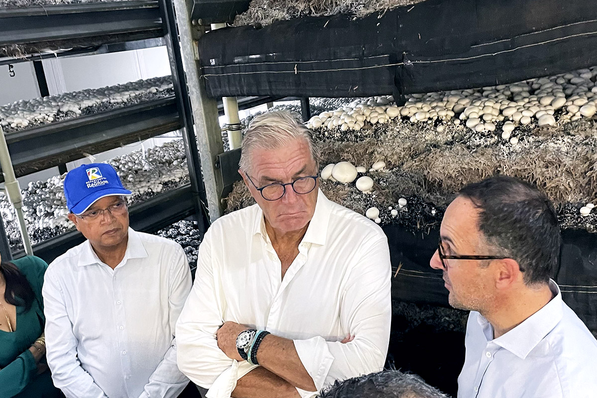 Visite - François SAUVADET