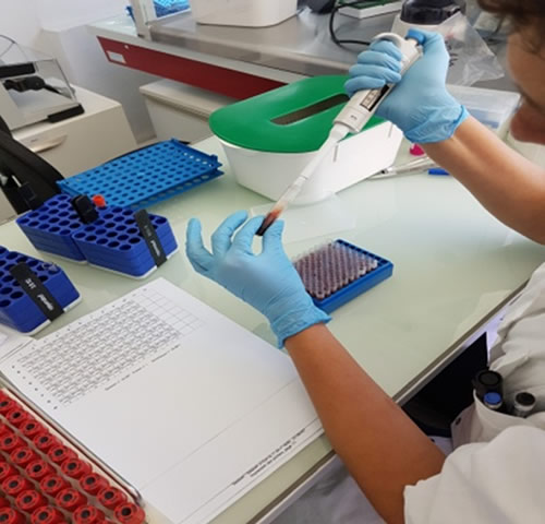 technicien qui fait des Analyses sérologiques animales 