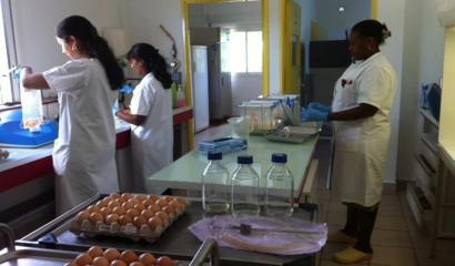 technicienne dans le laboratoire faisant des Analyses microbiologiques alimentaires