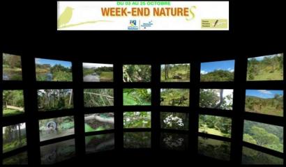 plusieurs photos d'espaces naturels