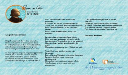 Visuel année leconte delisle : poème du mois de juillet : "L’aigu bruissement"