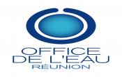 Logo - OFFICE DE L'EAU Réunion