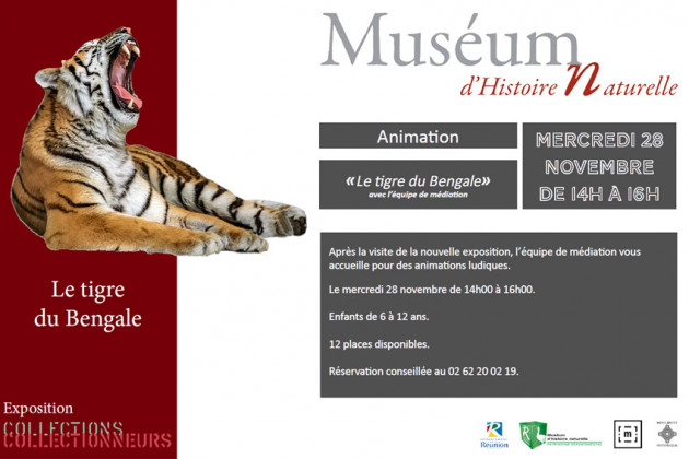 Affiche de l'animation : Tigre