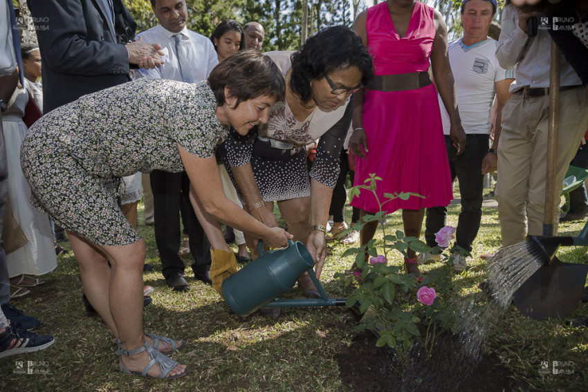 Mesdames Girardin et Sigismeau plantent une rose de bourbon