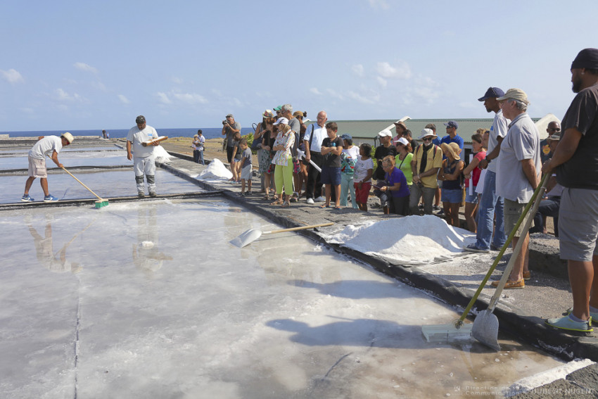 le public dans les salins à Saint-Leu