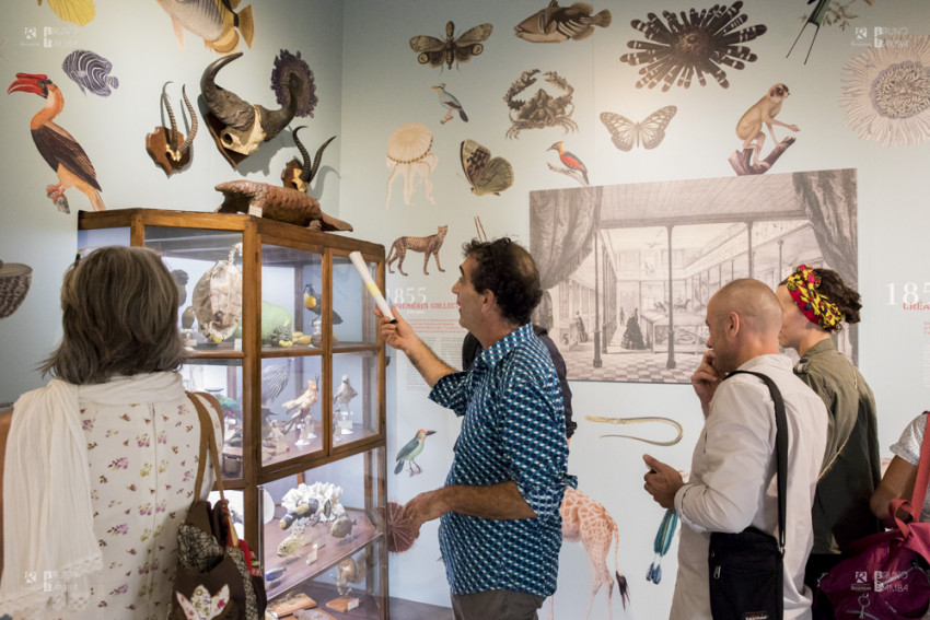 le public découvre les vitrines de l'exposition