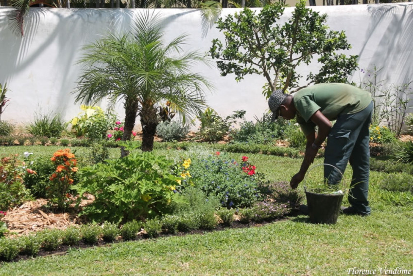 entretien du jardin