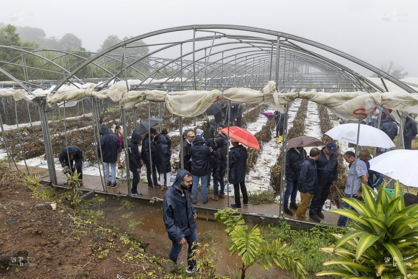 la délégation sous la pluie en visite d'une serre détruite