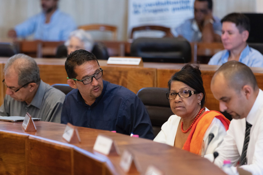 Paulette Adois Lacpatia participe aux débats dans l'hémicycle départemental