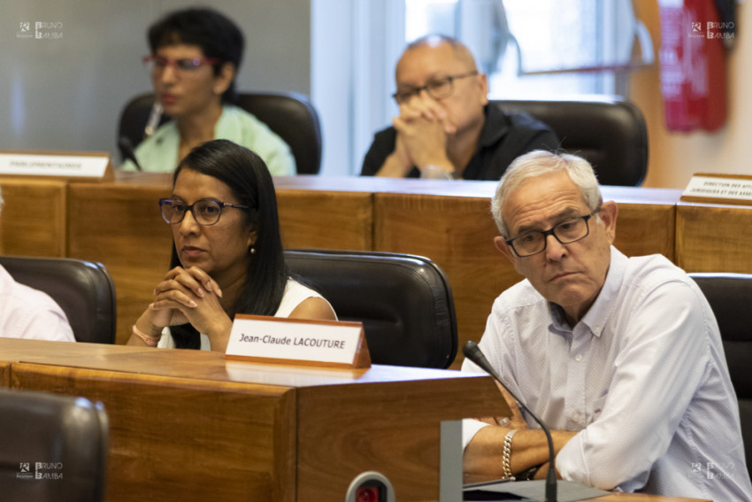 marie gertrude carpanin et jean-claude lacouture, conseillers départementaux