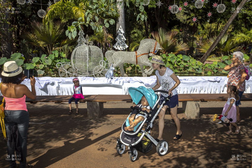 Pendant quatre jours, le Bonheur des enfants accueille le public au jardin de l'État à Saint-Denis. L'entrée est libre et gratuite