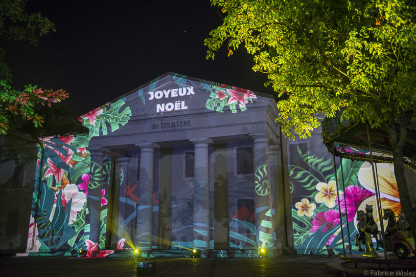 spectacle de sons et lumières sur la façade du muséum