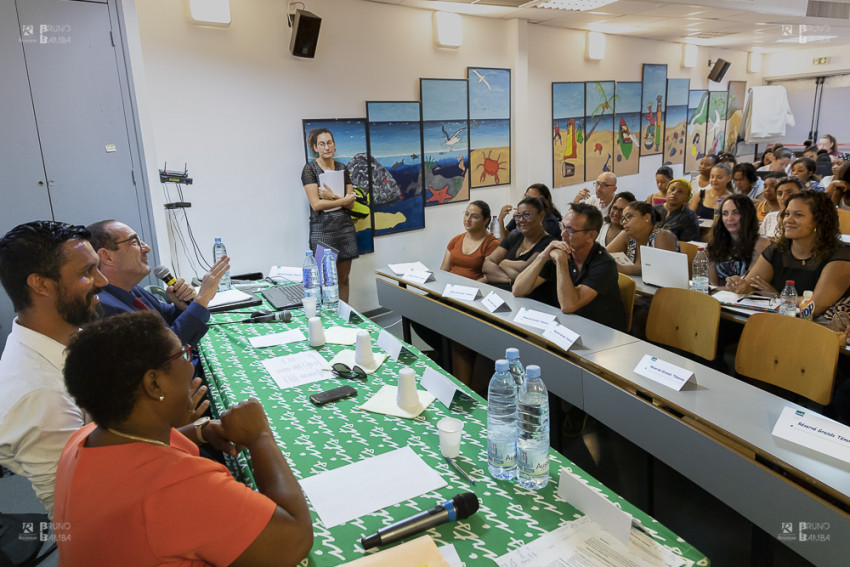 Débats sur la Protection de l'Enfance à l'IRTS de Saint-Benoit