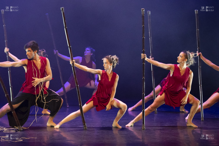 Démonstration de 12 danseurs du SUAPS, service universitaire des activités physiques et sportives