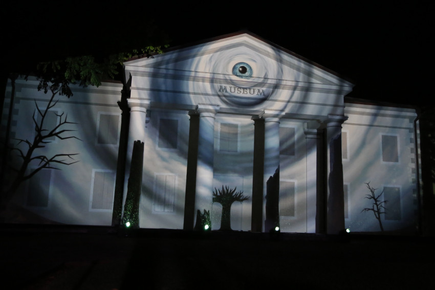 'Mapping' sur la façade du Muséum