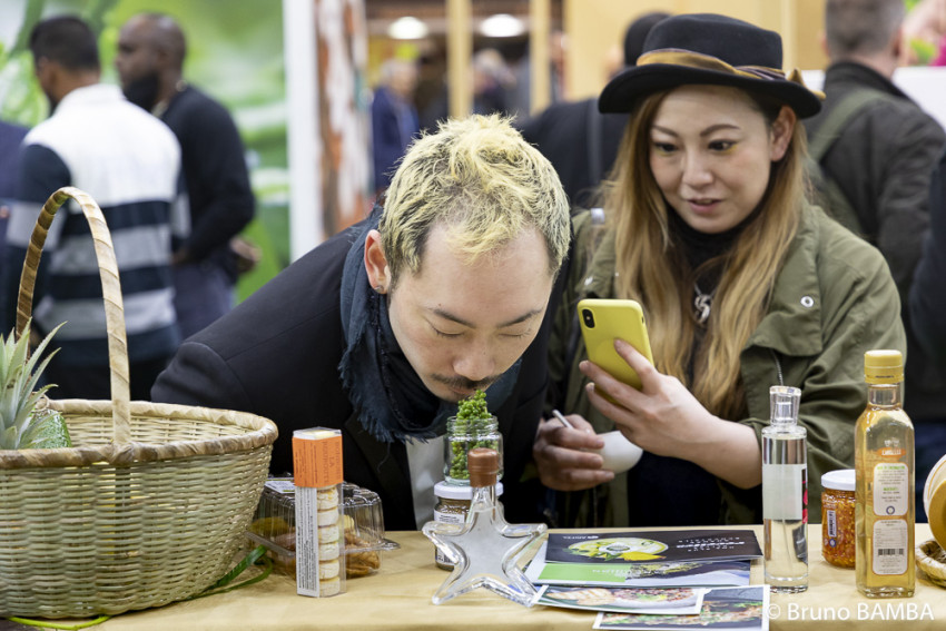 Des visiteurs japonais intéressés par le poivre de La Réunion
