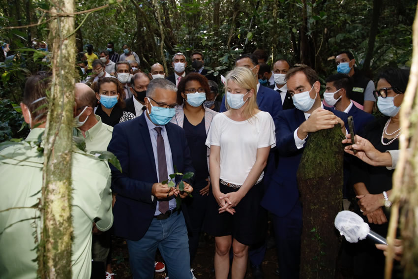 Visite d’un chantier de lutte contre les espèces exotiques invasives