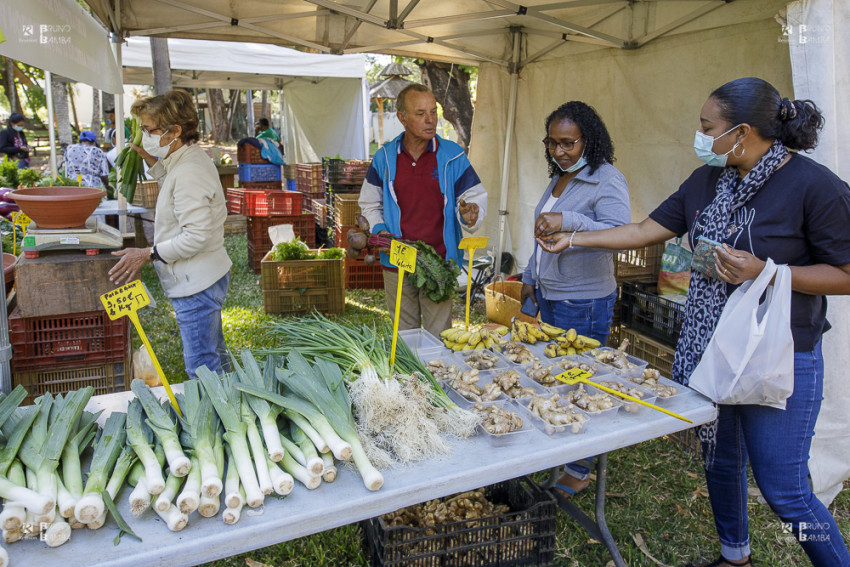 Marché dédié aux fruits et légumes de saison et aux divers produits transformés