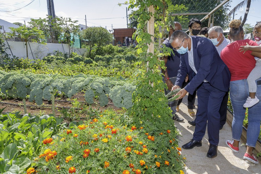 Visite de l’association Alizée du Cap en présence des enfants de l’école Edith Piaf – Remise des plantes aux enfants