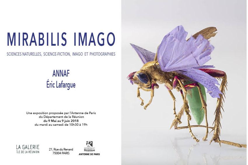 affiche de l'exposition qui représente une sorte de mouche aux ailes mauves