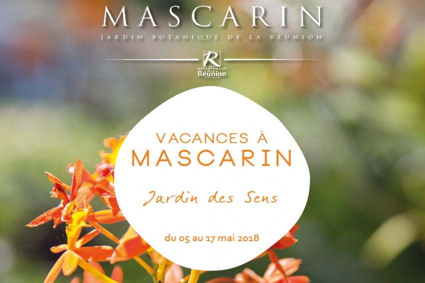 affiche programme des vacances à mascarin