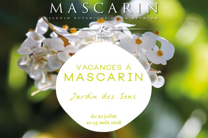 affiche programme des vacances à mascarin