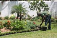 entretien du jardin