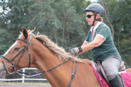 Une cavalière sur son cheval 