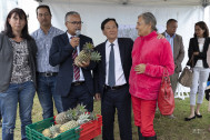 Un ananas à la main, Cyrille Melchior en compagnie d' André Thien Ah Koon  arappelé l'importance de la filière agricole, pour la Collectivité