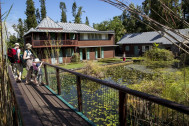 Des touristes sur la passerelle du bassin