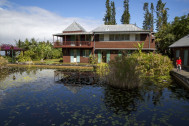 L'arrière de la villa avec son bassin à lotus