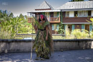 7 collèges de l'Ile ont participé au projet Land Art en créant des costumes à partir de branches, feuilles et écorces