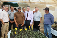 visite d'une exploitation de maraîchage à Bassin Martin, de production sous serre de grosses tomates