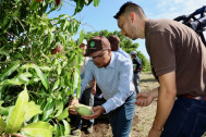 visite de l'exploitation fruitière