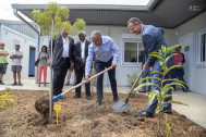 Un "Bois de Senteur blanc", espèce endémique protégée, a été planté dans le patio des services administratifs de la Réserve