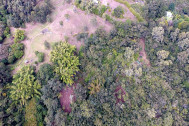 vue aérienne du site