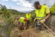 Les agents de l'ONF qui font l'entretien du sentier