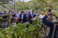 Visite de la plantation MELISSA à Saint Benoît