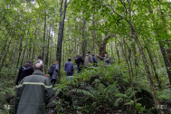 Réserve Biologique de la forêt de Bois de couleur des Bas à Basse Vallée