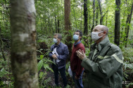 Olivier Rivière, Daniel Jean-Baptiste et Sylvain Léonard, dans la forêt Bois de couleurs